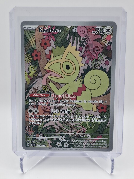 Pokémon Other - Pokémon TCG - Kecleon - Surging Sparks - Illustration Rare - 213/191